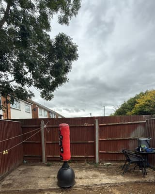 After: the yard cleared back to bare ground