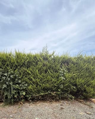 After: the same gravel, clear