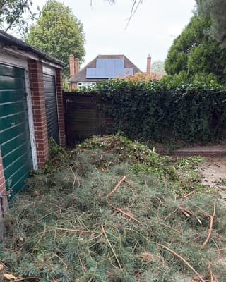 Before: a thick layer of hedge cuttings by some garages